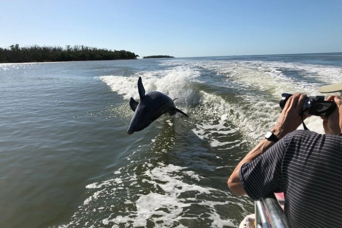 Everglades Day Safari from Ft Lauderdale