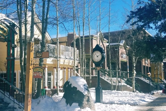 Image 4