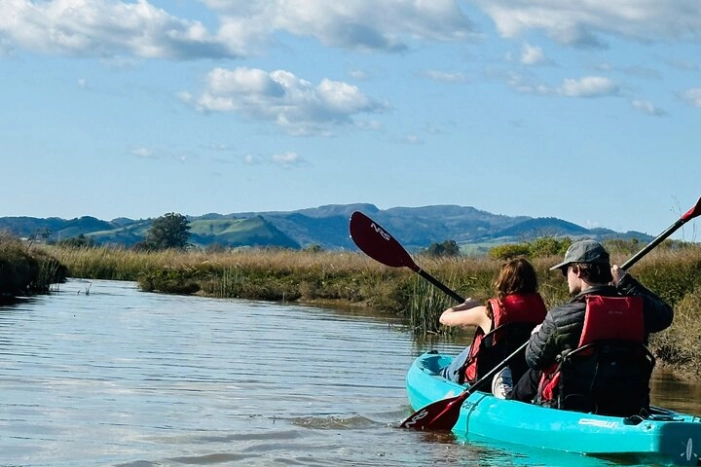 Self Guided Trip in Carneros Wine Region