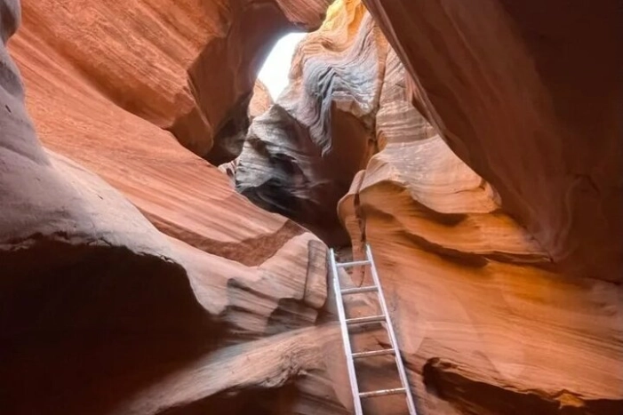 Image 12