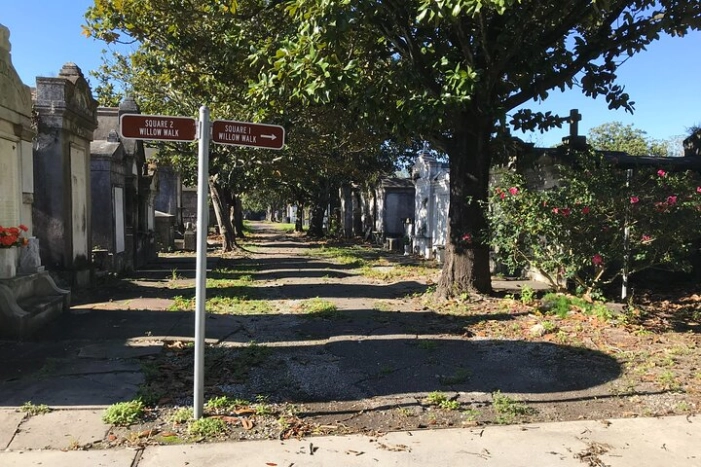 Image 19