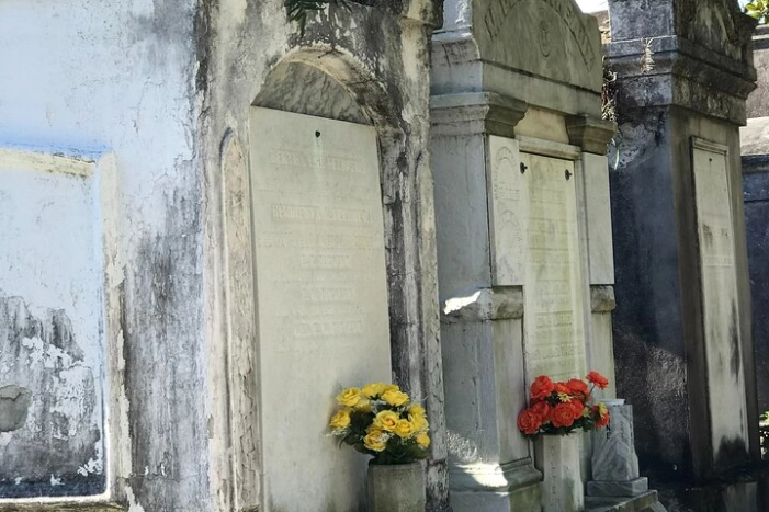 Image 16
