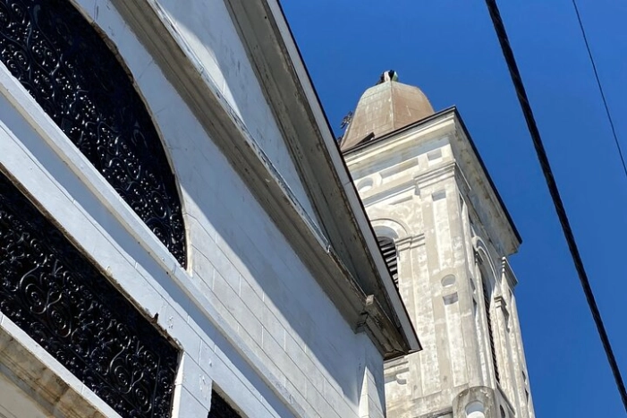 Image 15