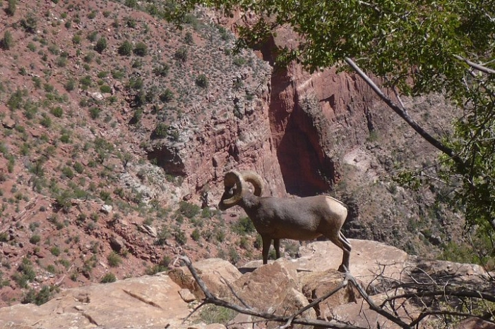 Image 4