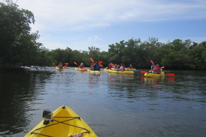 Image 4