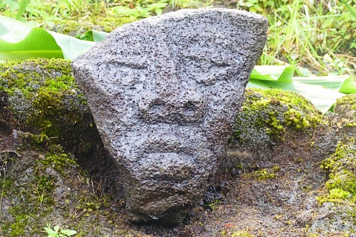 Image 13