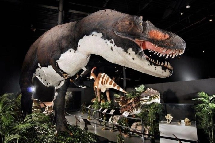 Branson Dinosaur Museum Admission Ticket