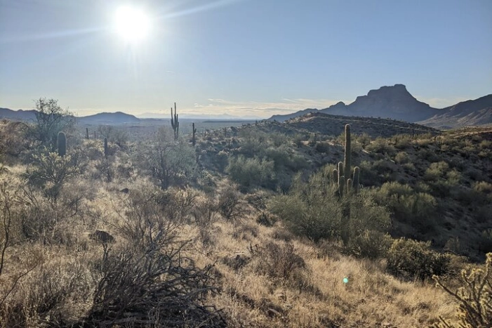 Image 10