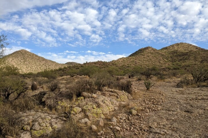 Image 8
