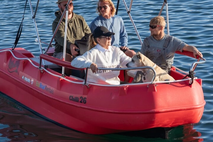 Image 11