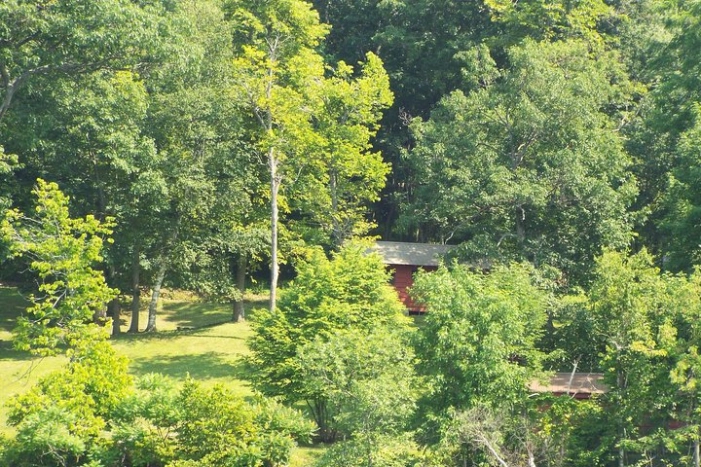 Image 8