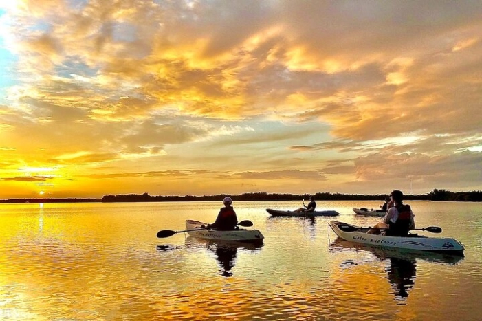 Sunset Tour Mangrove, Dolphins, Manatee #1 Rated in Cocoa Beach