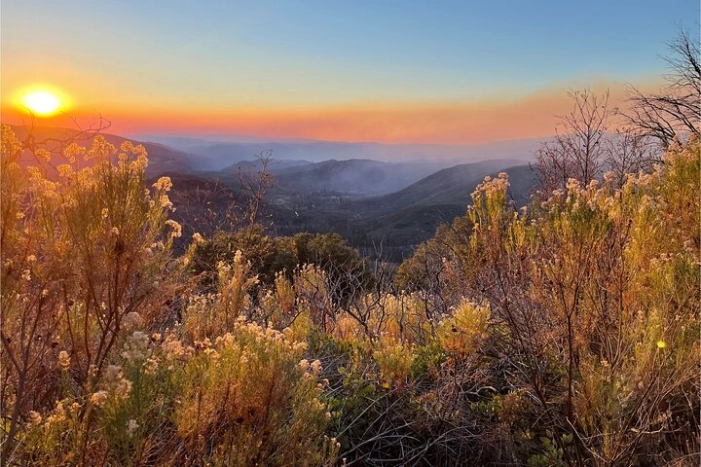 Friday | Sierra Sunset BBQ & Stargazing