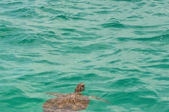 Image 9