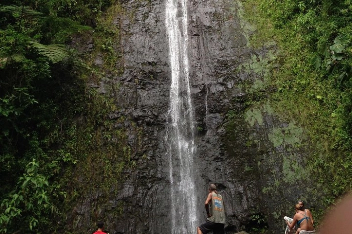 Image 19