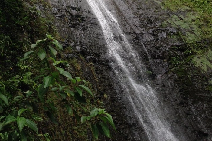 Image 18