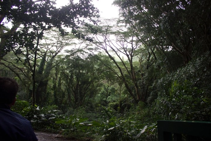 Image 9
