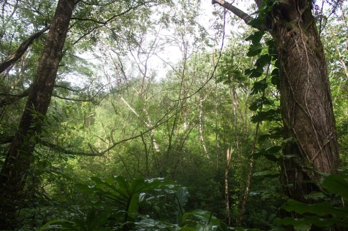 Image 12