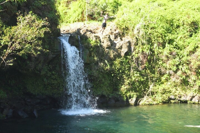 Image 5