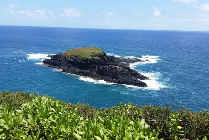 Image 6