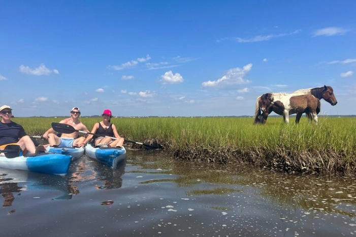 Single Sit on Top Kayak Rental at Assateague Island, MD