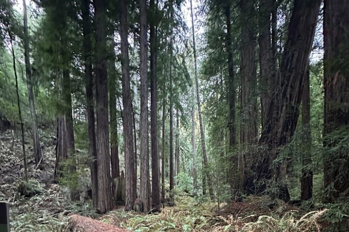 Image 14