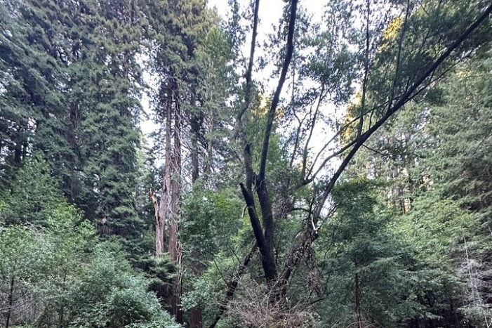Image 18