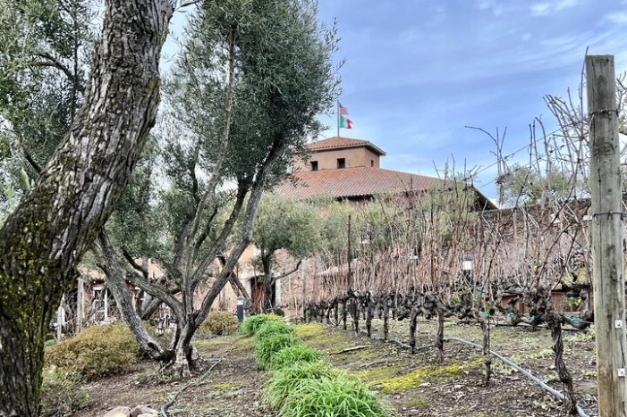 Image 18