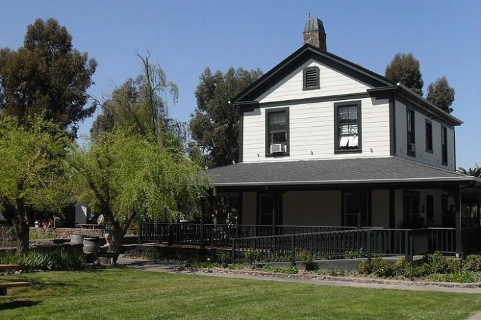 Image 4