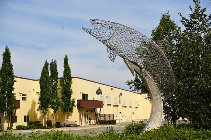 Image 26
