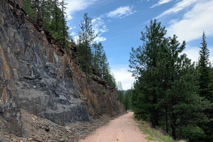 Image 7