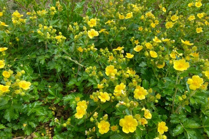 Image 22