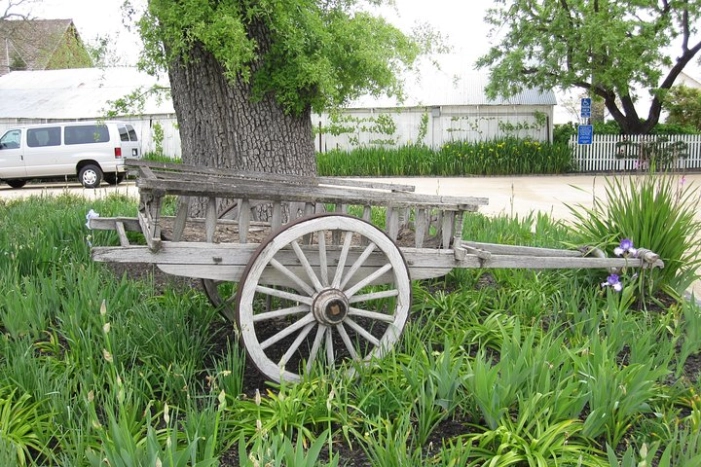 Image 12