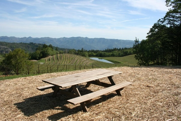 Image 13
