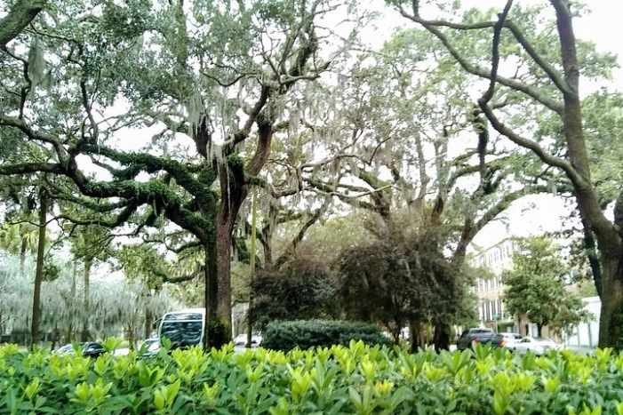 Image 9