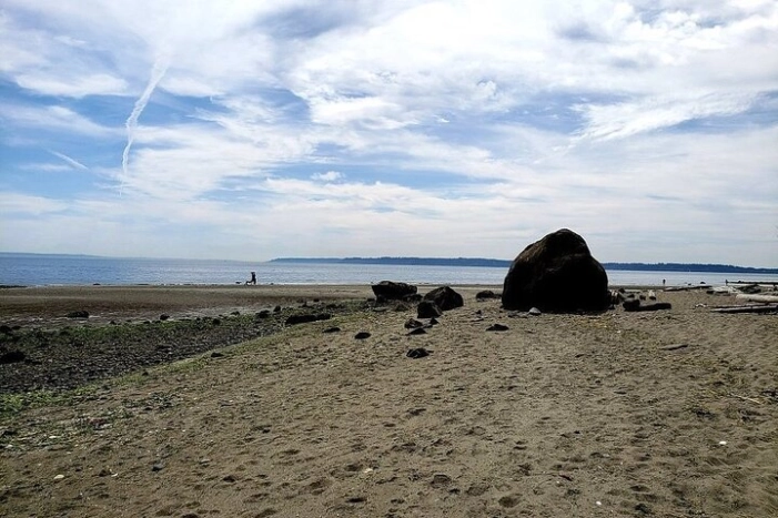 Island Beach Day 