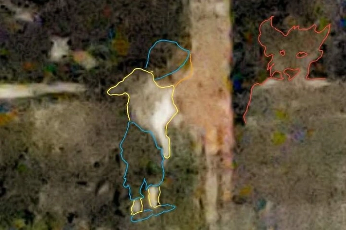 Image 10