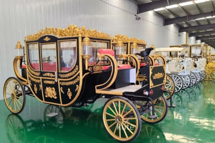 Spooky Savannah Ghost Coach
