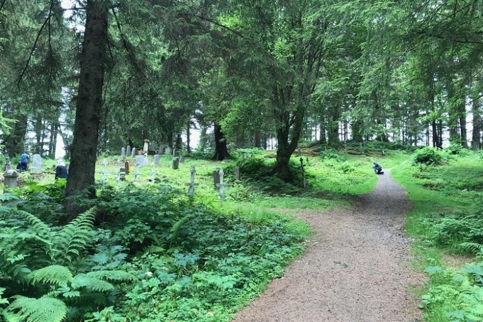 Image 6