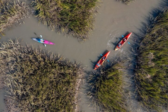 Dolphin Kayak Tour on Folly Beach 
