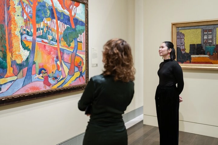Museum of Fine Arts, Houston All Access Admission Ticket 