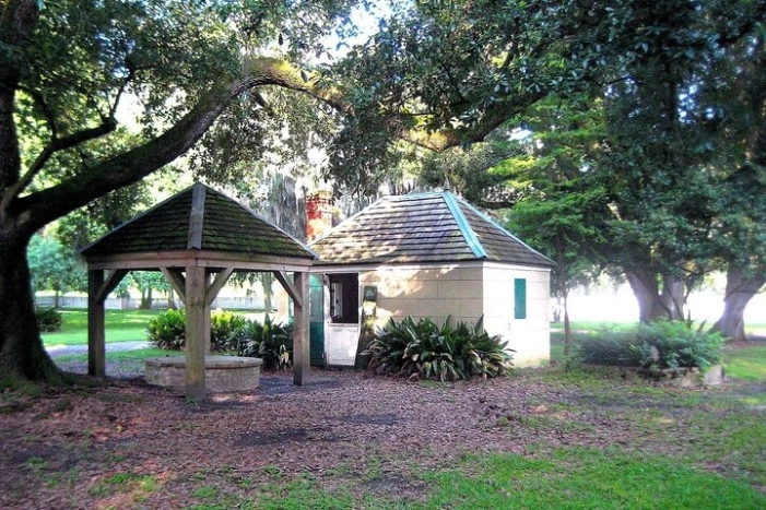 Image 7