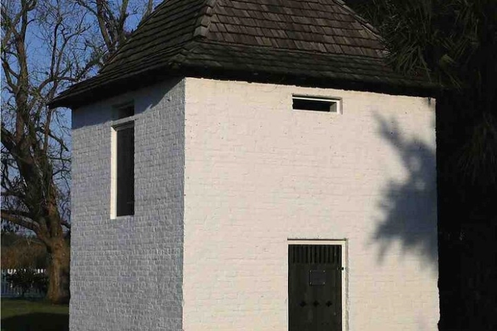 Image 7