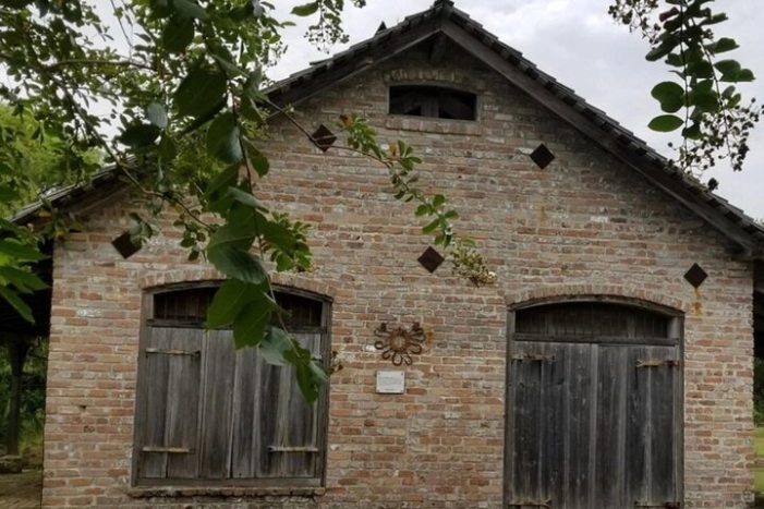 Image 8