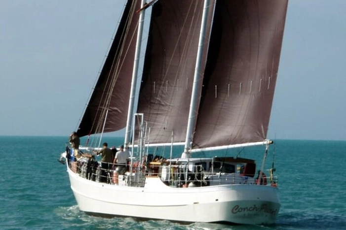 Image 6