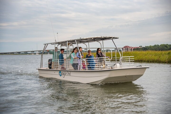 90 Minute Hilton Head Dolphin and Nature Cruise