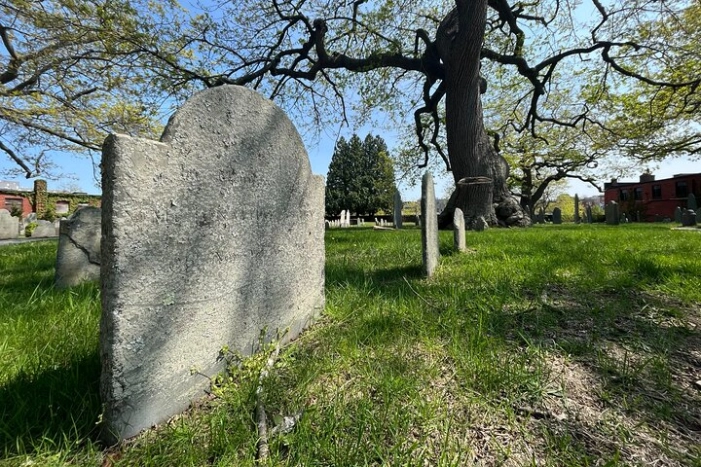Image 13