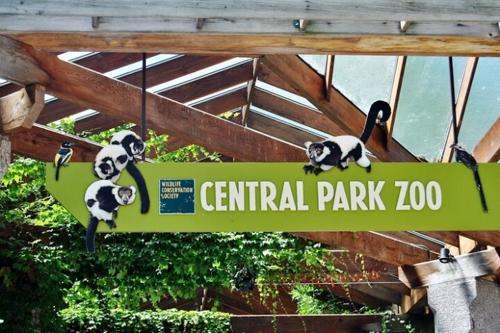 Visit Central Park Zoo & 3h Manhattan Walking Tour
