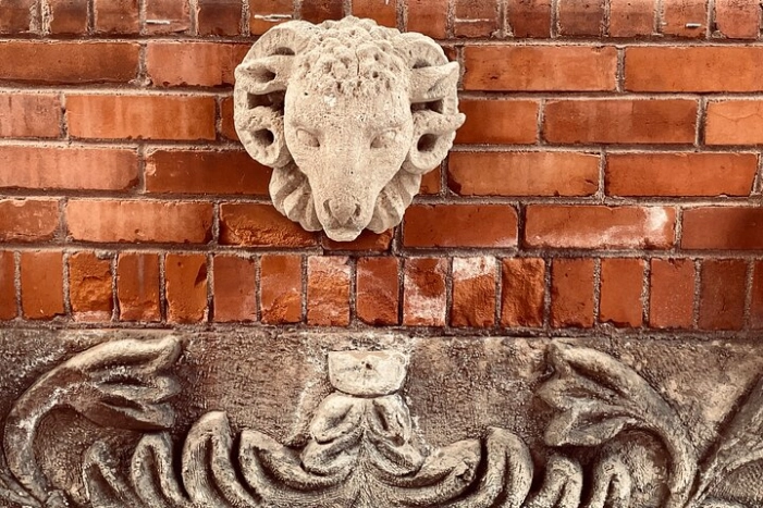 Image 10