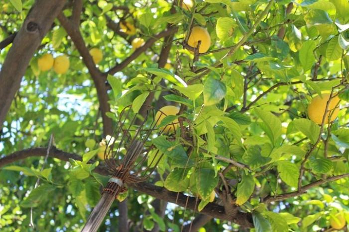 Image 12